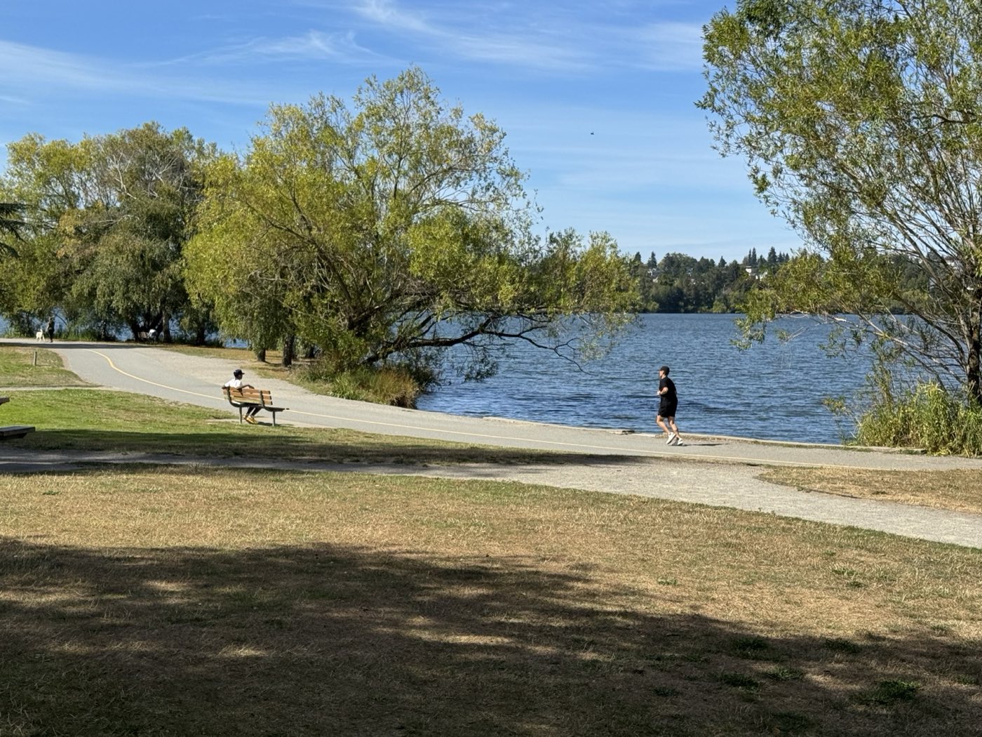 The walking path along the Green Lake shoreline
